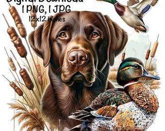 Labrador Dog Sublimation PNG Chocolate Labrador Dog PNG Commercial Use Hunting Dog Duck Hunter Marsh png Labrador Dog PNG Illustration Print
