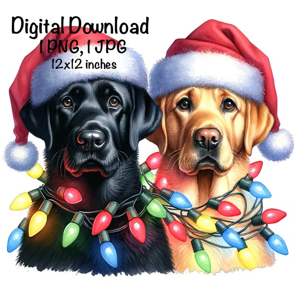 Christmas Labradors PNG Christmas Lights Santa Labrador Dogs Sublimation Cute Lab Dog Adult Labrador Black Lab Santa Dog Christmas Gifts PNG