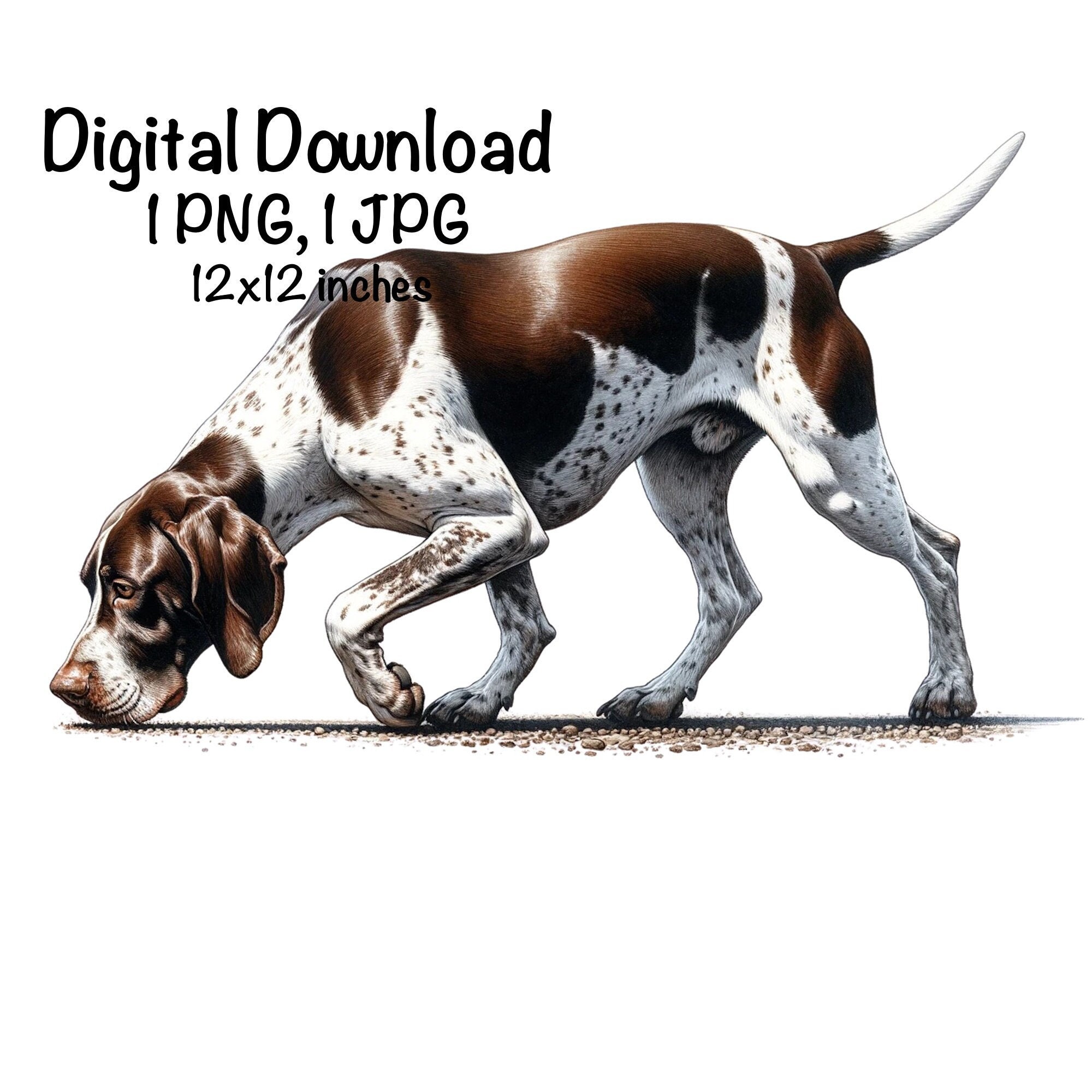 Pointer Hunting Dog PNG | Sniffing Dog Sublimation PNG | Digital Download | Dog Scent Tracking | Rabbit Hunter Hunting Tracking  Dog Png