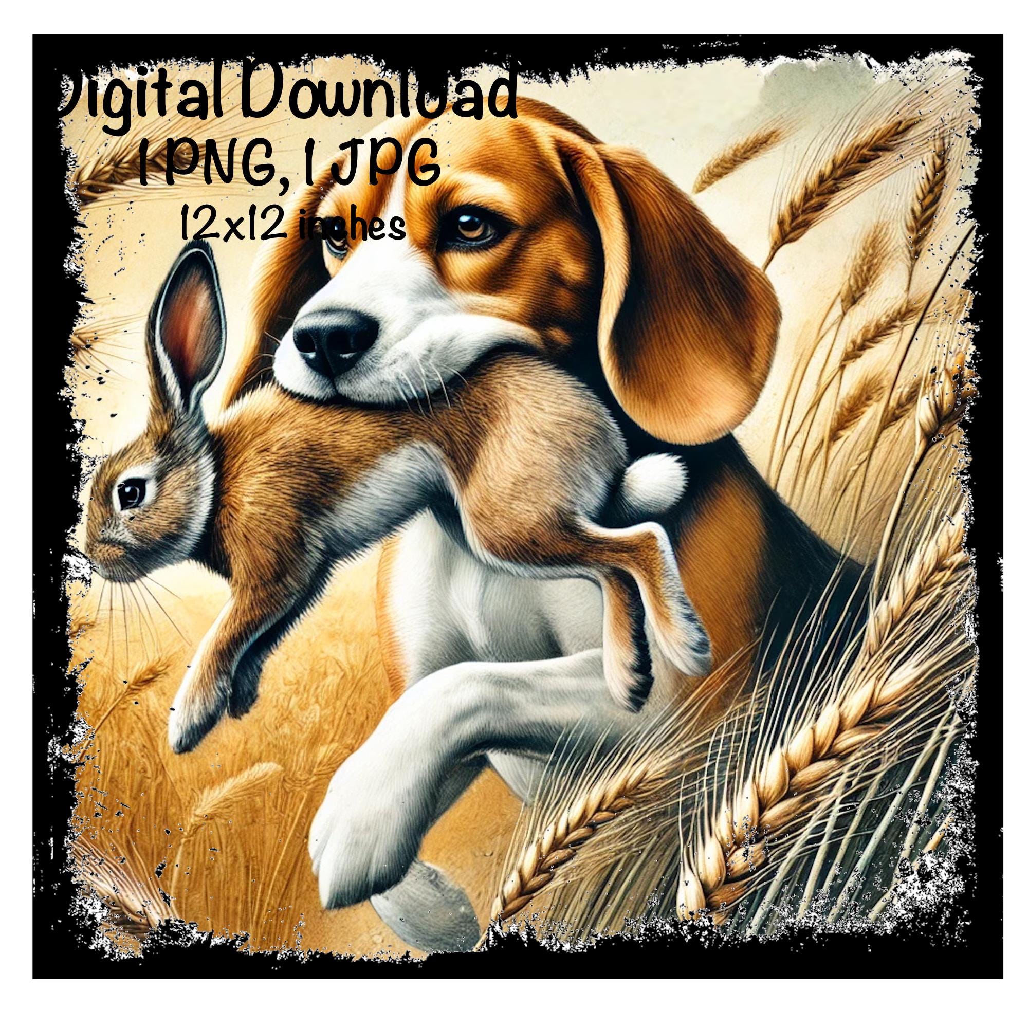 Beagle Hunting Dog PNG, Beagle Rabbit Hunting Dog Clipart, Beagle ...