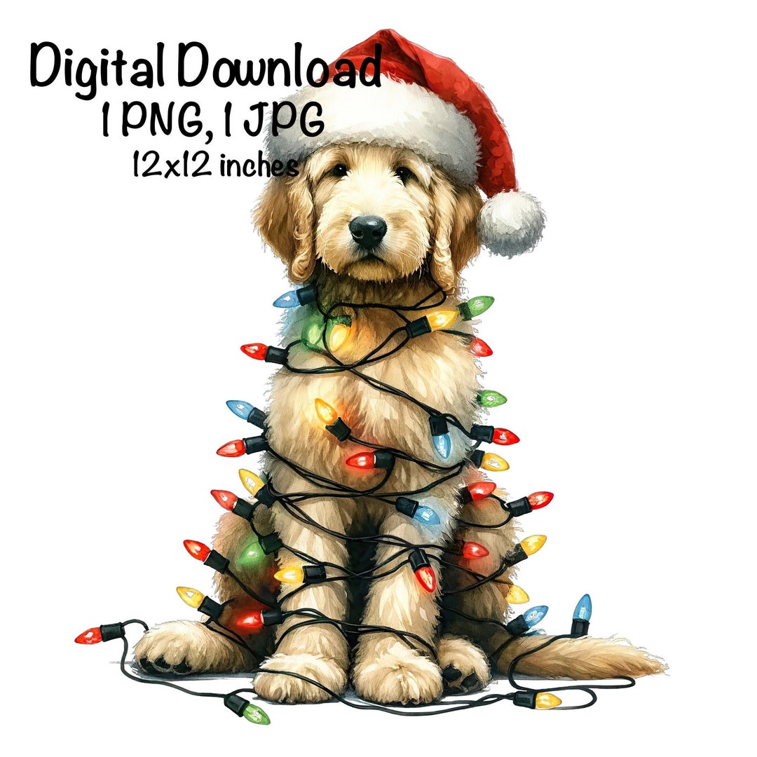 Christmas Goldendoodle Puppy PNG Christmas Lights Santa Black Doodle