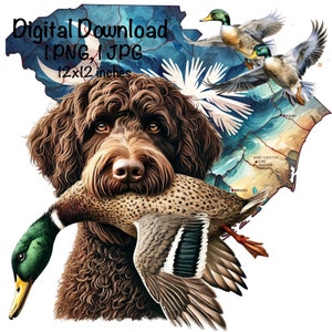 South Carolina Duck Jagdhund PNG | Labradoodle Hund SC Landkarte Jagd Sublimation | Stockente Ente Sublimation | Duck Hunter Sublimations png