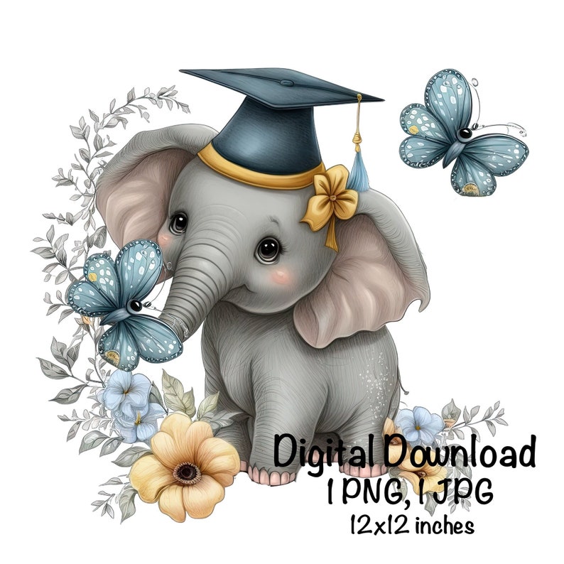Elephant Cute Elephant Clipart Safari Animals Elephant PNG - Etsy