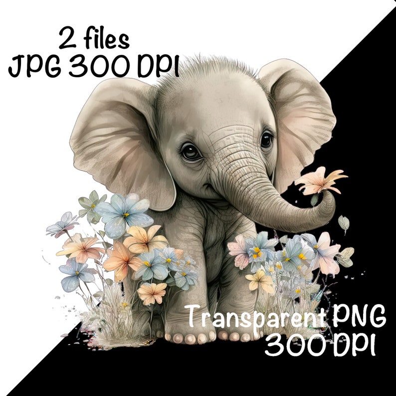 Elephant Cute Elephant Clipart Safari Animals PNG for Kids - Etsy