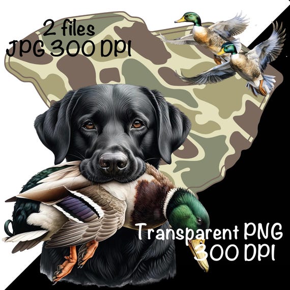 Duck Hunting Top 10 Best Hunting Dogs 5+ Hundred Bear Hunting Dog