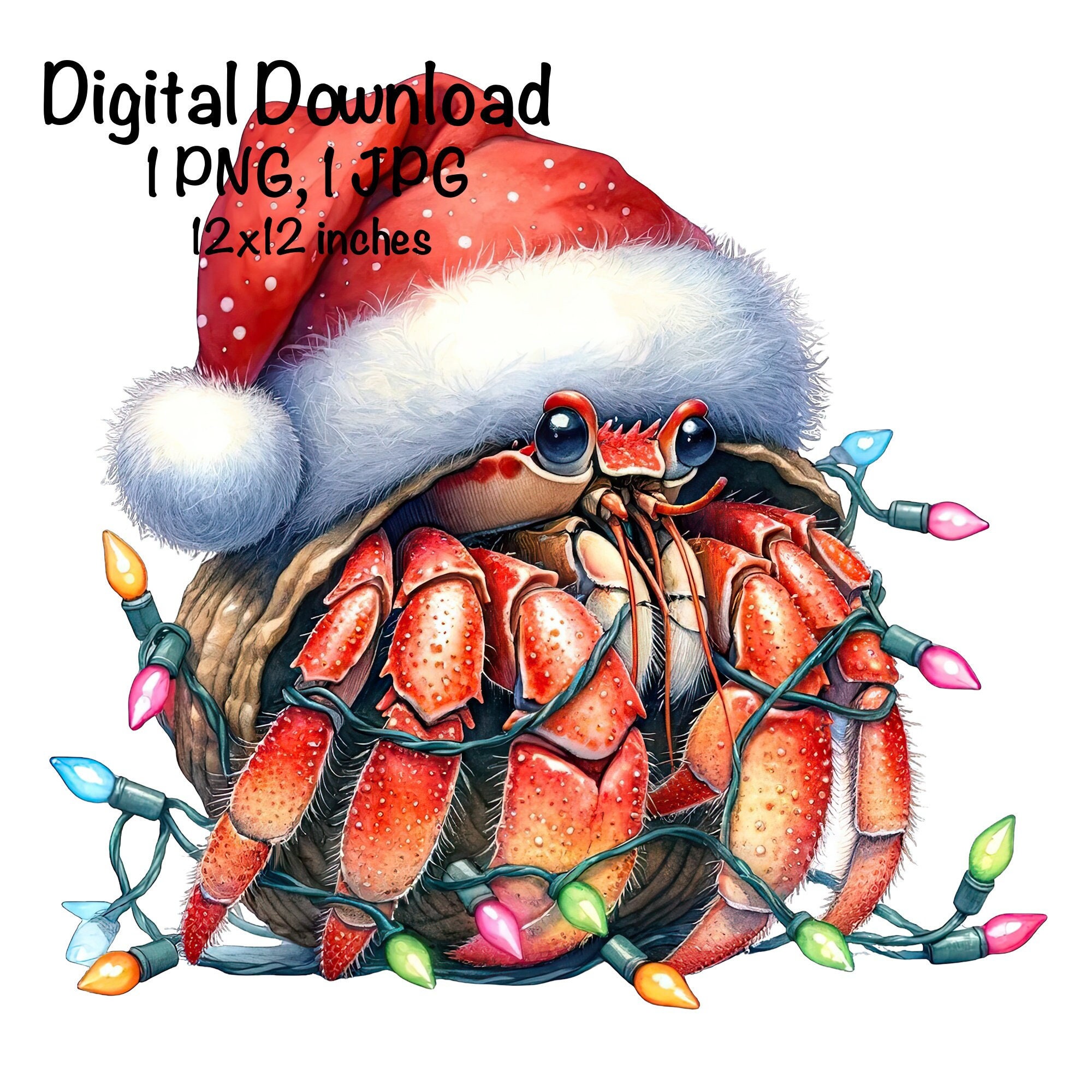 Cangrejo ermitaño navideño PNG Animales marinos del océano Cangrejo PNG  Papá Noel Feliz Navidad Cangrejo Navidad Sublimación Cangrejo ermitaño bajo, image size:2000x2000