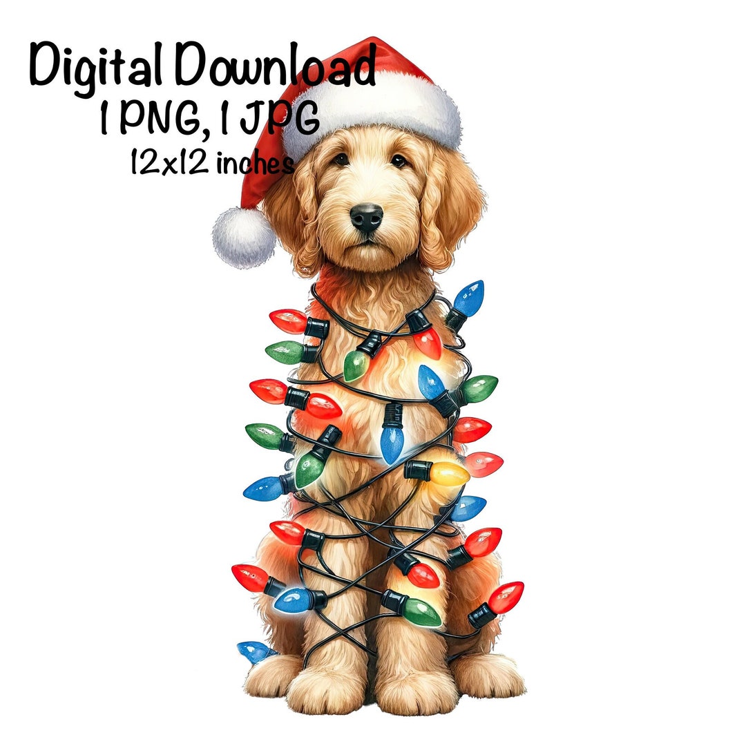 Christmas Goldendoodle Puppy PNG Christmas Lights Santa Doodle Dog