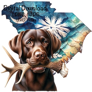 South Carolina Deer Jagdhund PNG Schokolade Labrador Hund SC Karte Jagd Sublimation Deer Lab Sublimation Kommerzielle Verwendung Deer Hunter png