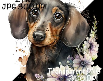 ダックスフント犬の水彩画クリップアート ダックスフント犬の春の