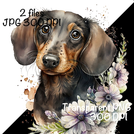 ダックスフント犬の水彩画クリップアート ダックスフント犬の