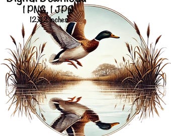Mallard Duck PNG, Wild Duck Sublimation PNG, Mallard Duck Sublimation, Wetland Duck Flying Ducks Duck Hunting Season PNG, Vintage Hunter png