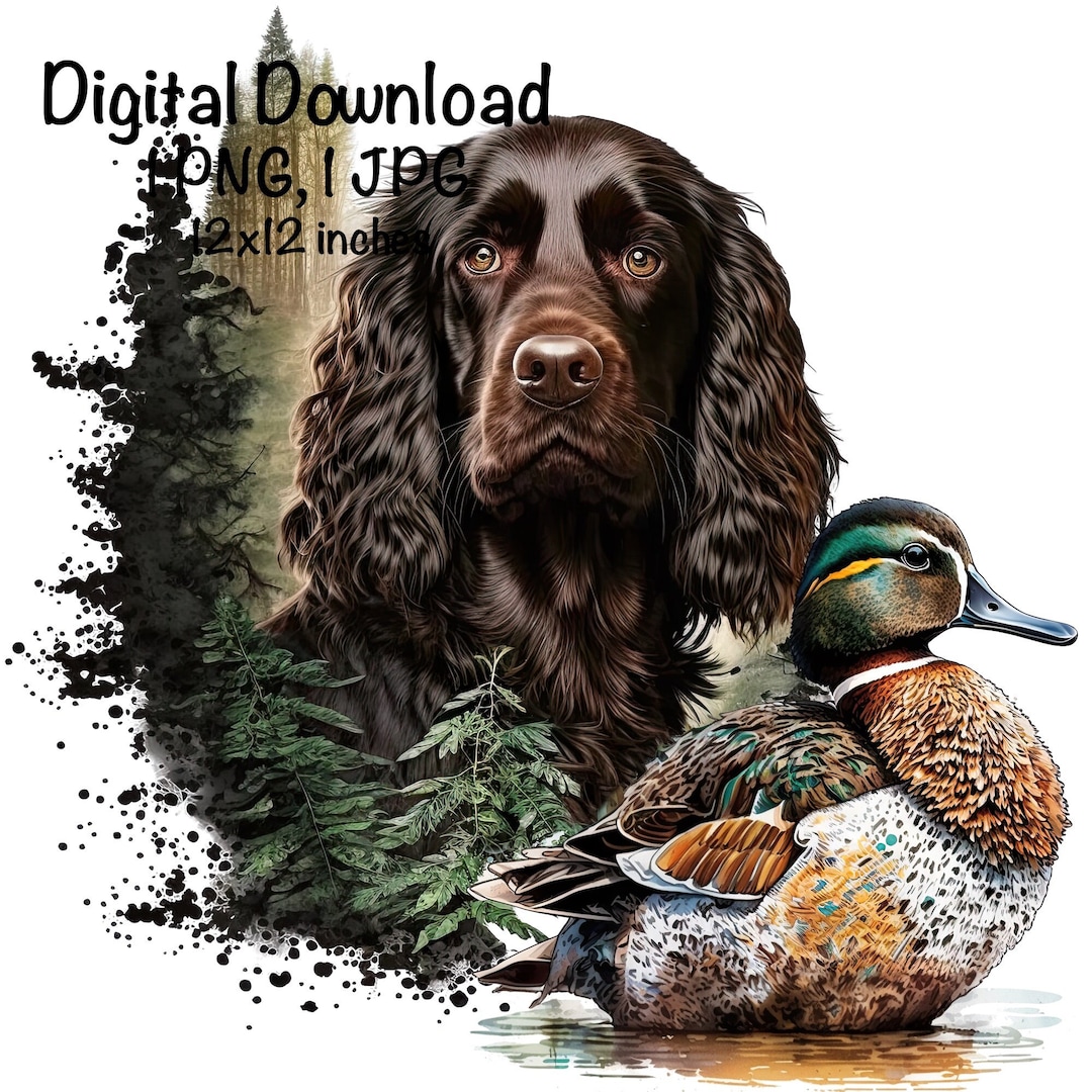 Boykin Spaniel Dog Watercolor Clipart Boykin Spaniel Dog PNG - Etsy