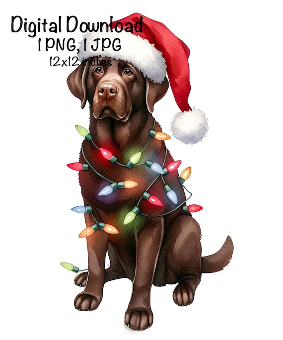 クリスマス ラブラドール PNG クリスマス ライト サンタ チョコレート