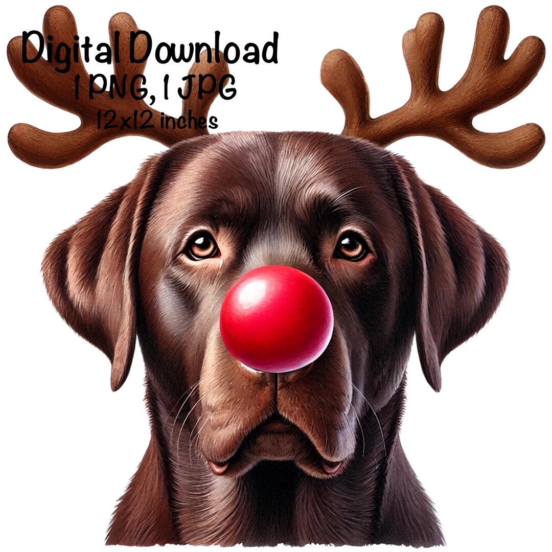 Christmas Labrador Dog PNG, Reindeer Antlers Red Nose Dog Sublimation ...