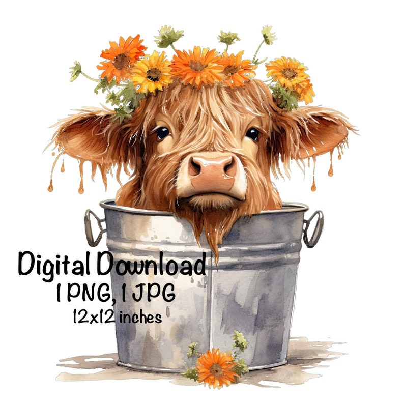 Highland Cow Watercolor Clipart Cute Highland Cow in Bucket Spring ...