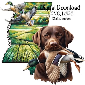 Mississippi Duck Jagdhund PNG Schwarzer Labrador Retriever Hund MS Map Jagd Sublimation Stockente Duck Sublimation Kommerzielle Nutzung Entenjäger