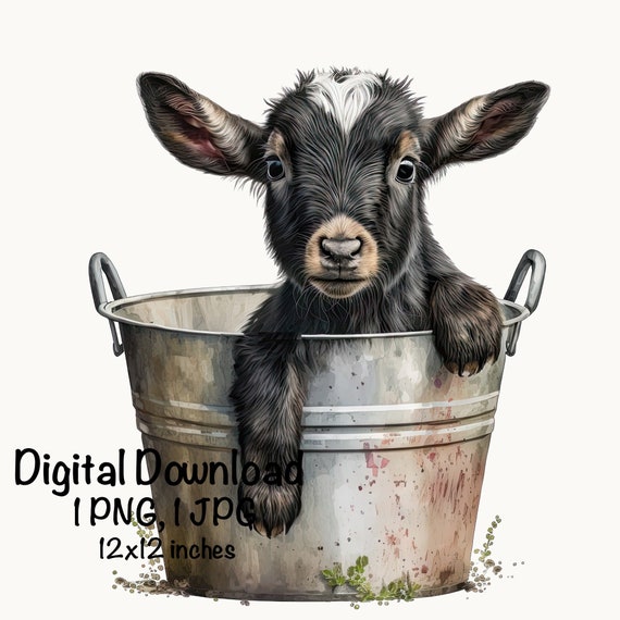 Baby Goat in a Bucket Watercolor Clipart Cute Goat & Bucket Baby Goat PNG Commercial Use Kid Goat Farm Animals Graphics Illustration Print