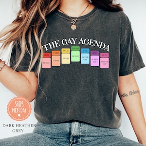 The Gay Agenda T-Shirt - Gay Shirt - LGBT Tee - Bisexual Shirt - Lesbian Shirt - Pride Tee - LGBT Gift - Gay Agenda Tee - Comfort Colors
