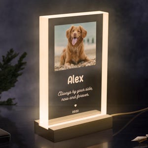 May include: A clear acrylic photo frame with a warm white glow. The frame features a photo of a dog named Alex, with the text "Always by your side, now and forever" and the year 2022.