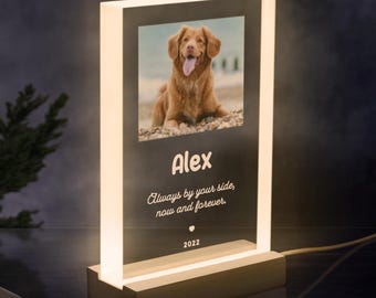 Personalized Night Light | Pet Memorial Plaque, Acrylic Photo Block, Dog Sympathy Gift | P02
