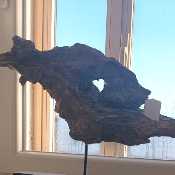 Driftwood Art Etsy New Zealand
