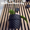 Plant Ring for acoustic panels - Twist and go - by WallTune product logo