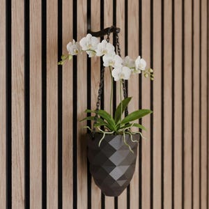 Jarrón colgante para plantas - para paneles acústicos - Wallclip - de WallTune