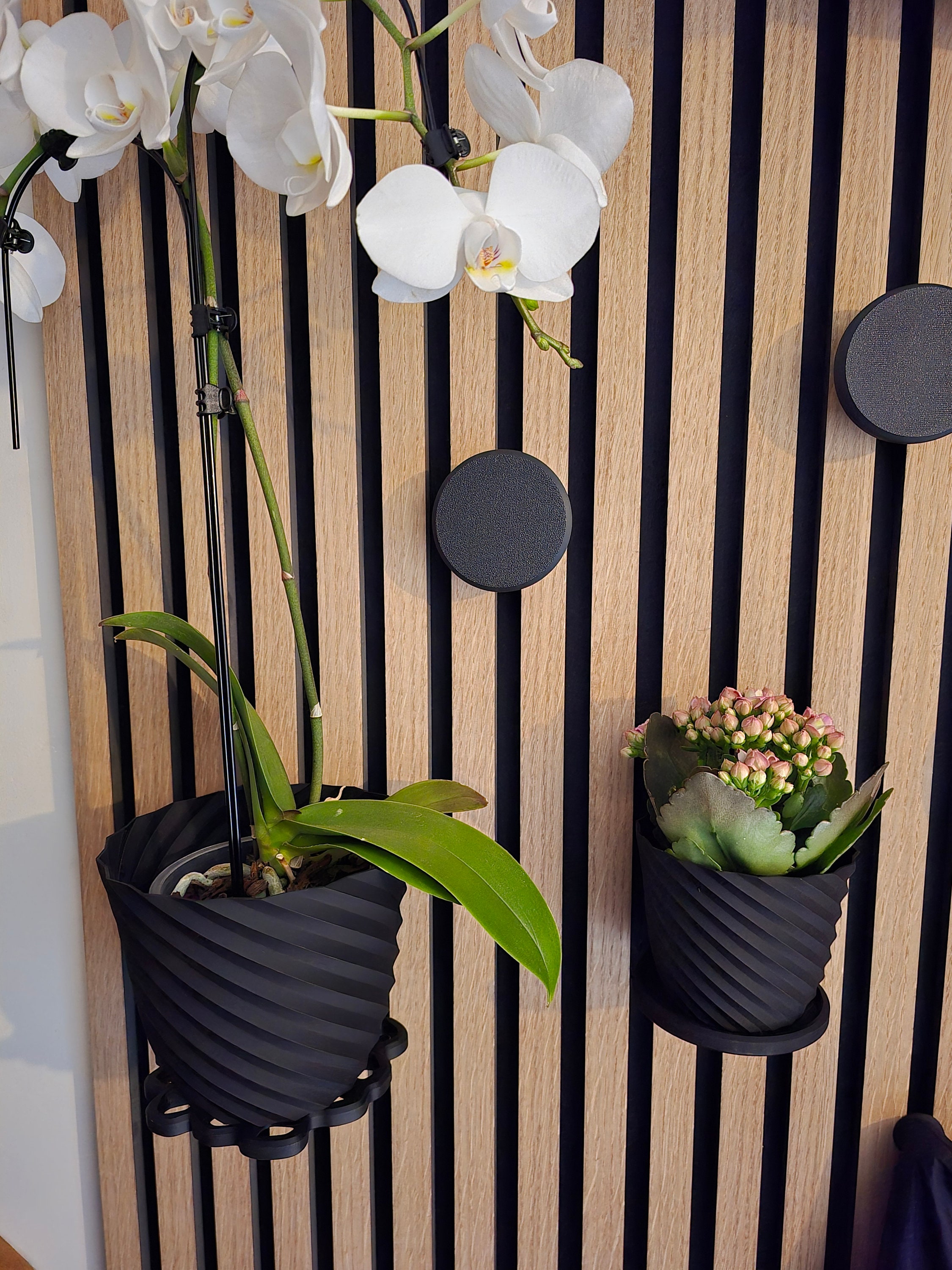 Plateau Rond - Pour Panneaux Acoustiques - Twist And Go - Par WallTune - France