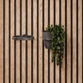 Plant Ring for acoustic panels - Wallclip - by WallTune product logo