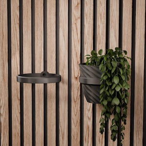 Plant Ring for acoustic panels - Twist and go - by WallTune