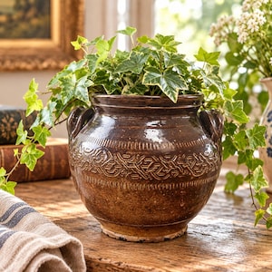 May include: A dark brown glazed ceramic pot with two side handles and a textured, embossed band around the centre. The pot contains a lush green and white variegated ivy plant with trailing vines that spill over the sides of the vessel.