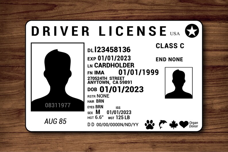 Drivers License Template Identification ID Card With - Etsy