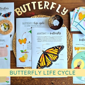 May include: Educational materials about butterflies are displayed on a wooden surface. The materials include diagrams of butterfly anatomy, life cycles, and a journal. The word "BUTTERFLY" is spelled out in wooden letters.