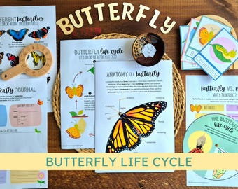 Butterfly Life Cycle Activity Pack: Flashcards, Anatomy, Observation Journal, and Wheel (PDF Download)