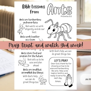 Ants Bible Lessons Activity: Christian Kids Teaching Resource, Sunday ...