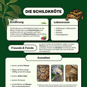 Animal poster &quot;The Turtle&quot; for learning for children - Poster 03 - ideal for elementary school students and preschoolers - learning to read with animals