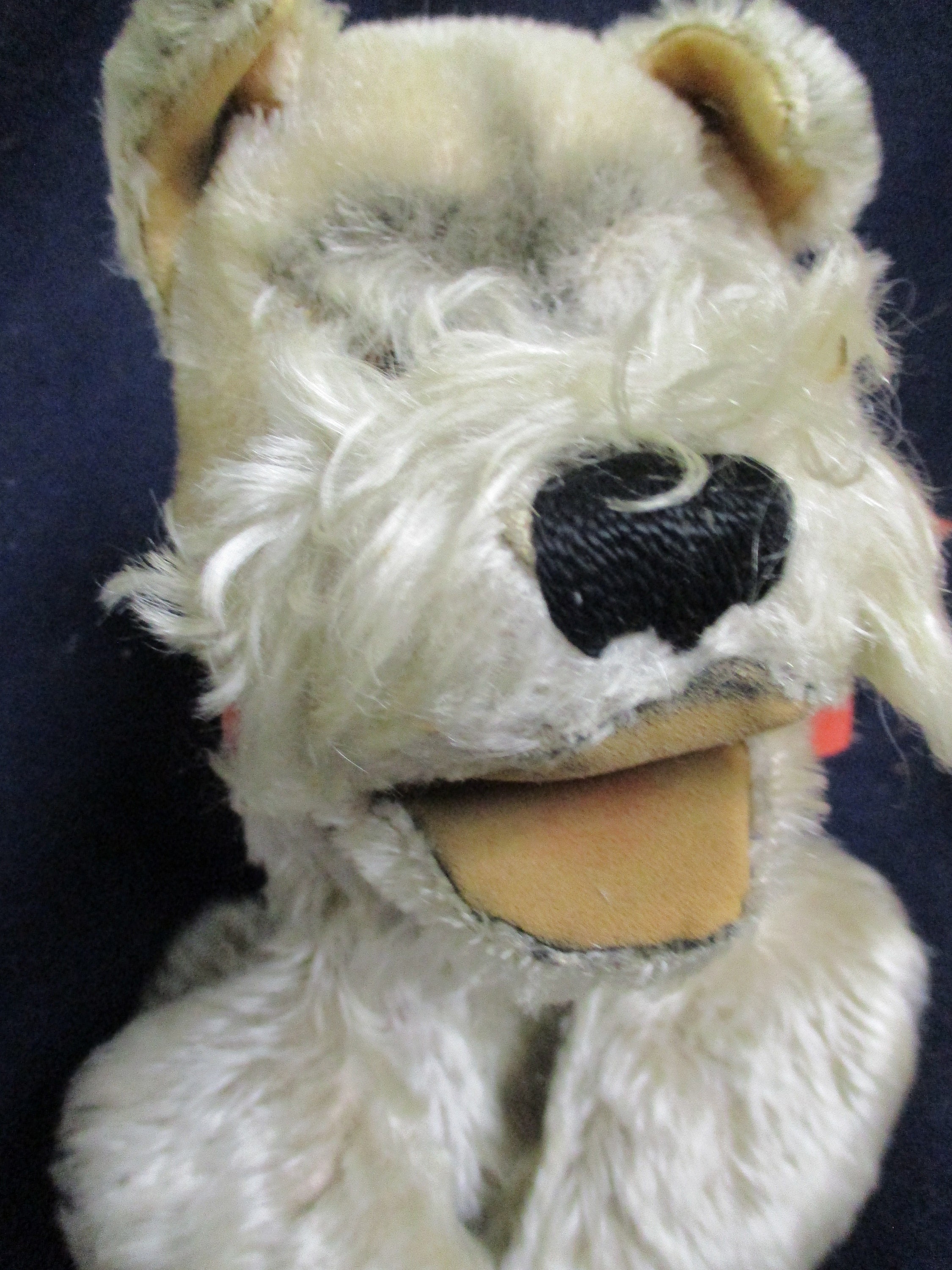 vintage peluche chien steiff Schnauzer original marke Tessie