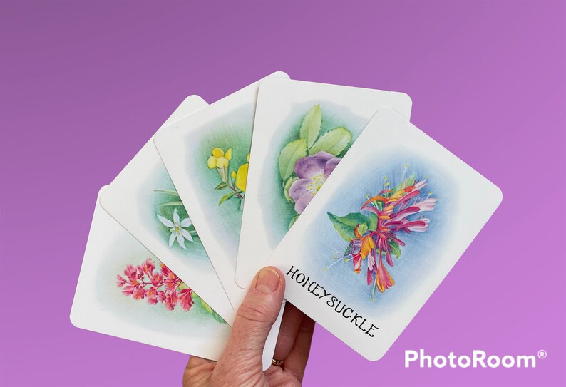 Cartes Fleurs de Bach 39 cartes livret Fabriquez vos Elixirs Floraux Personnalisés image 2