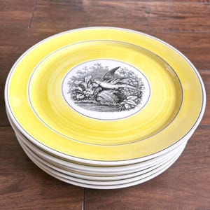 Villeroy Boch Birds - Etsy
