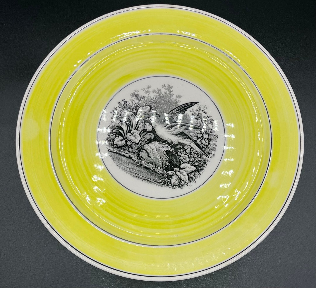 Set of 6 Villeroy & Boch Mettlach India Wild Bird Yellow Plates Germany ...