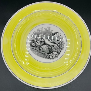 Set of 6 Villeroy & Boch Mettlach India Wild Bird Yellow Plates Germany