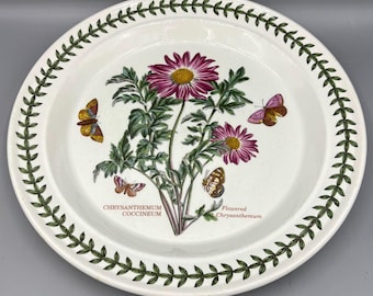May include: White ceramic plate with a floral and butterfly design. The plate features a central illustration of pink and yellow flowers with green leaves and several butterflies. The rim is decorated with a green leaf pattern. Text on the plate reads "Chrysanthemum coccineum" and "Flowered Chrysanthemum."