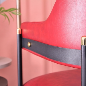 Dining Chair Brass Metal Arms, Chairs for Living Room, Chairs for Dining Room, With Upholstery