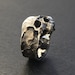 see more listings in the Anillos section