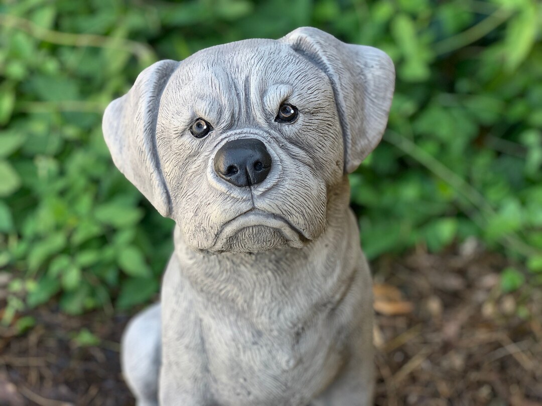 Concrete Boxer Dog Statue Stone Dog Figure Outdoor Memorial Etsy