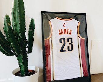 lebron framed jersey