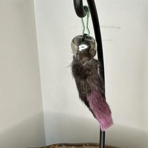 Lucky Rabbits Foot