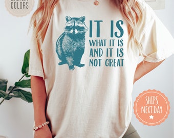 It Is What It Is And It Is Not Great Tshirt - Raccoon Shirt - Comfort Colors Tee - Vintage Drawing - Meme Gifts - Funny Mental Health Gift