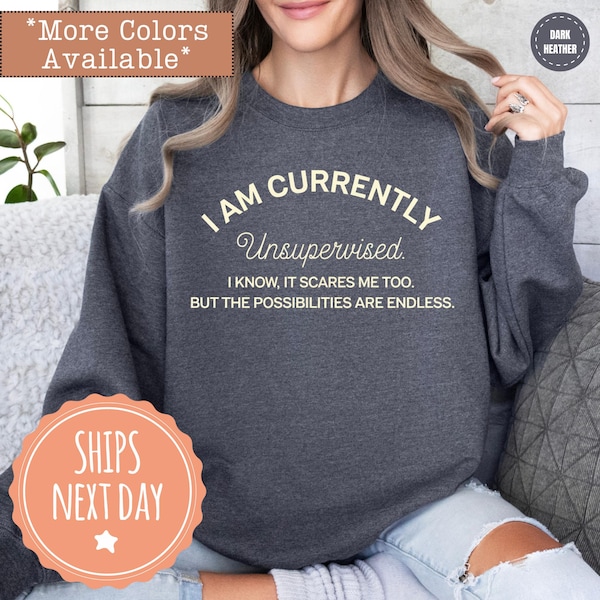 I Am Currently Unsupervised, Ladies Sweater, I Know It Scares Me Too - Funny Slogan Sweatshirt - Funny Graphic Hoodie - Sarcastic Crewneck