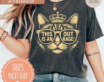 Comfort Colors® This is an Outrage T-shirt: Princess Donut Cat Shirt, Book Series Apparel, Sci Fi Fantasy Tee, Gift For Book Lover